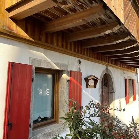 Ranuncolo 5
